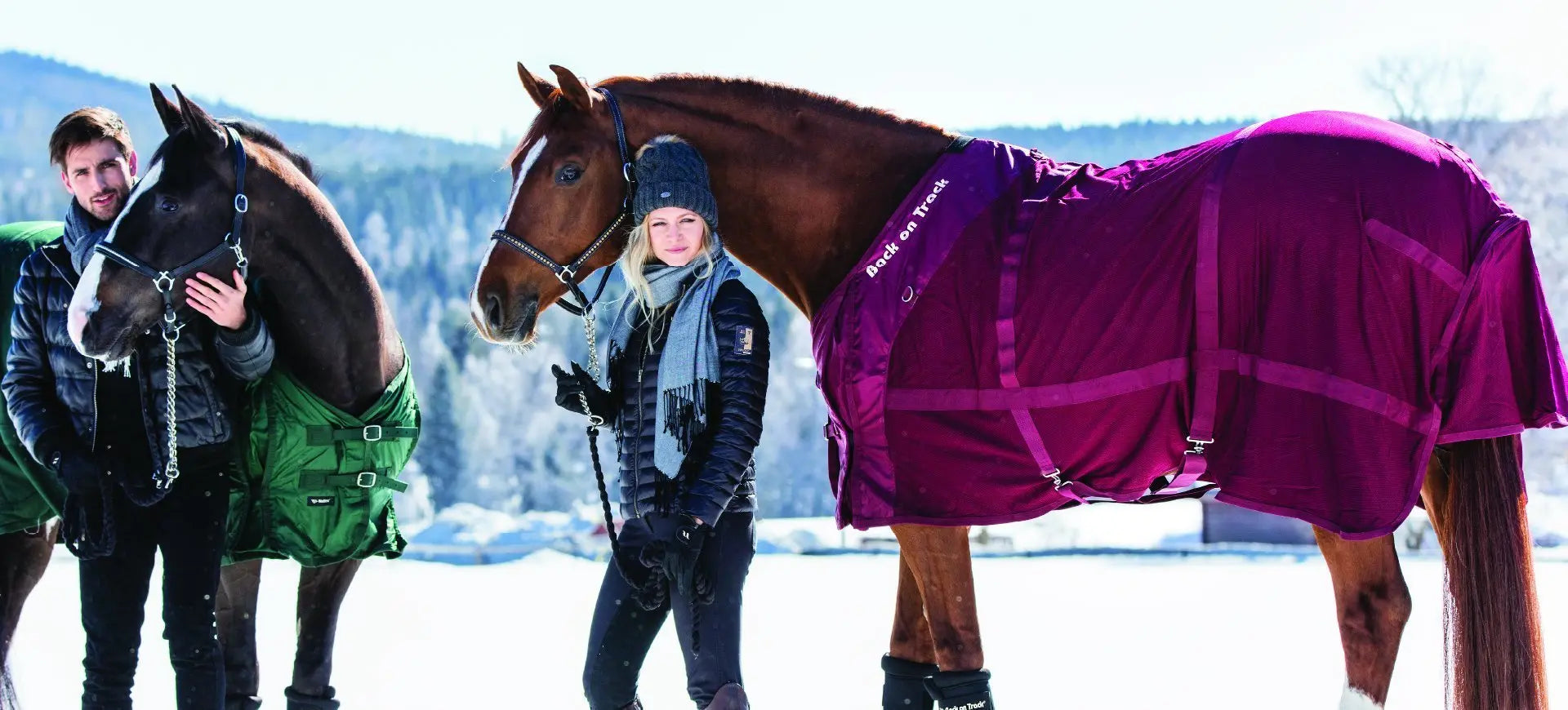 Hevosten Loimet - Back on Track Suomi