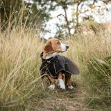 Buddy 2.0 Softshell takki pitkäselkäiselle koiralle, musta