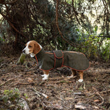 Buddy 2.0 Softshell takki pitkäselkäiselle koiralle, oliivinvihreä