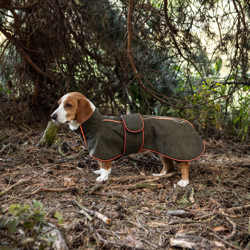 Buddy 2.0 Softshell takki pitkäselkäiselle koiralle, oliivinvihreä