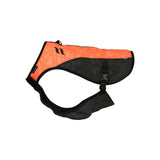 TRAKK koiran huomioliivi rintasuojalla