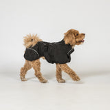 BAY koiran sadetakki