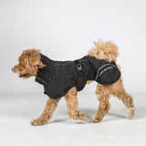 BAY koiran sadetakki