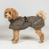 BAY koiran toppatakki, oliivinvihreä