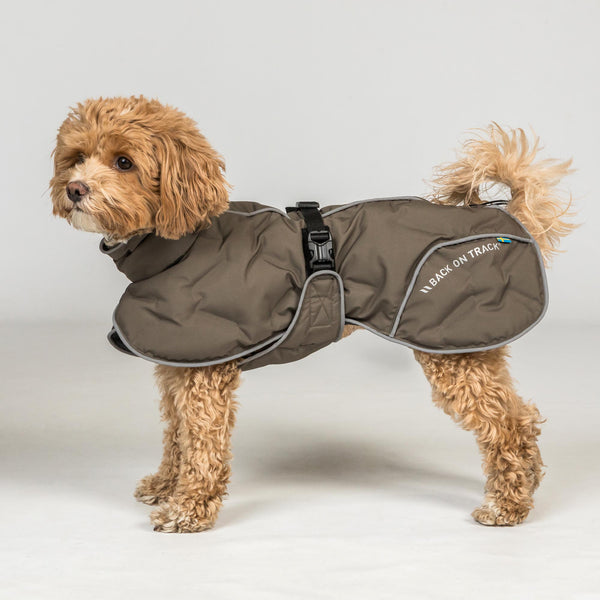 BAY koiran toppatakki, oliivinvihreä