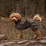 BAY koiran toppatakki, oliivinvihreä