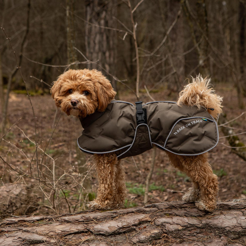 BAY koiran toppatakki, oliivinvihreä