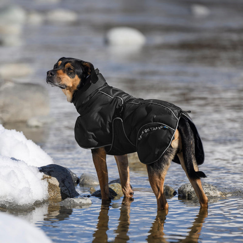 BAY koiran toppatakki, musta