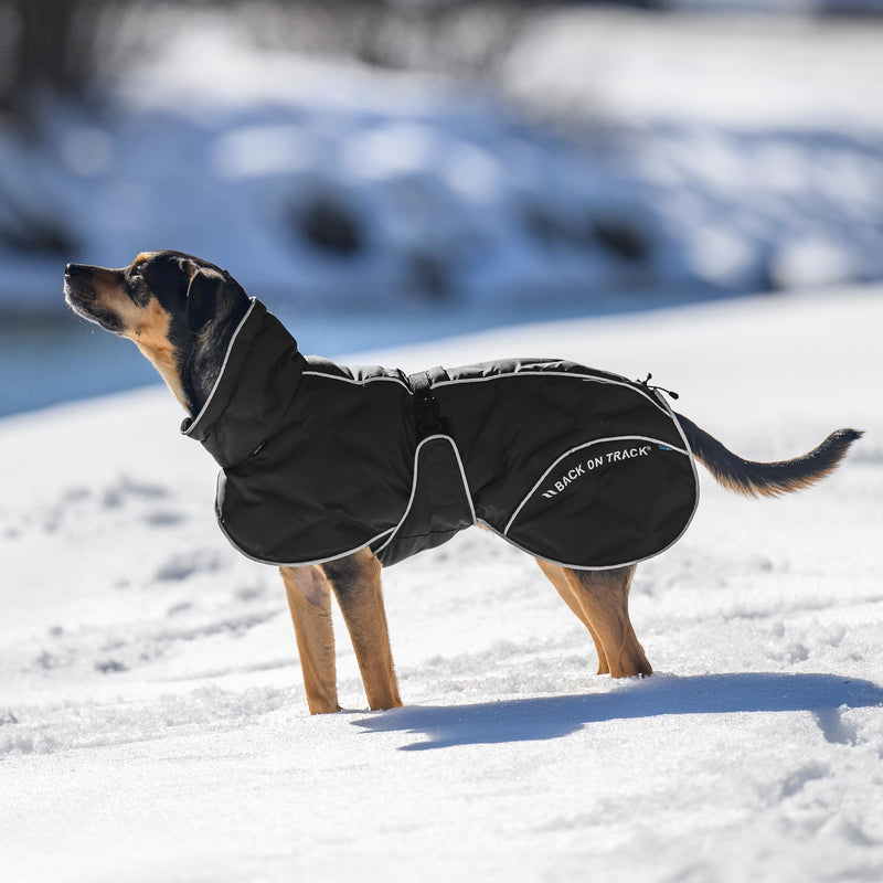 BAY koiran toppatakki, musta