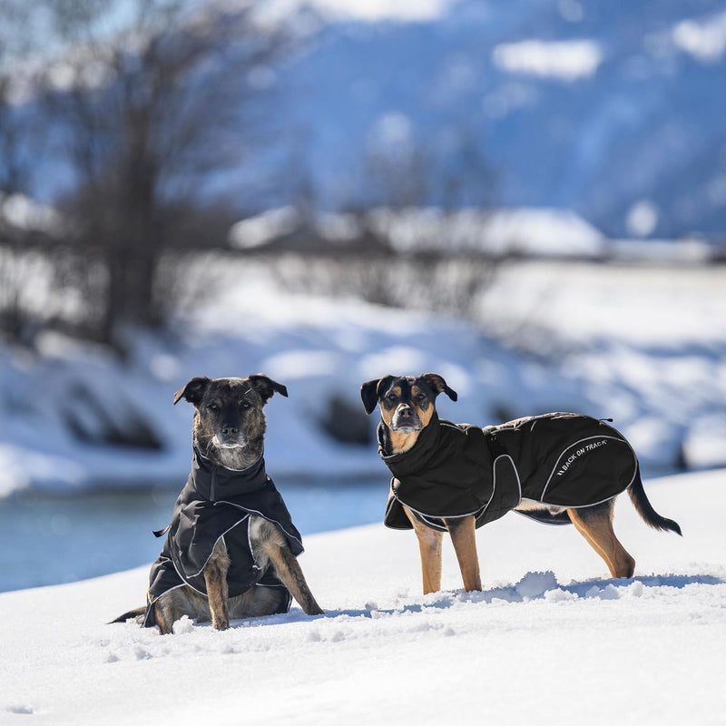 BAY koiran toppatakki, musta