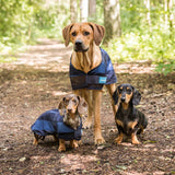 Viilentävä koirantakki 2.0