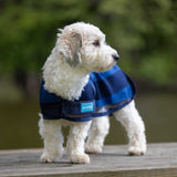 Viilentävä koirantakki 2.0