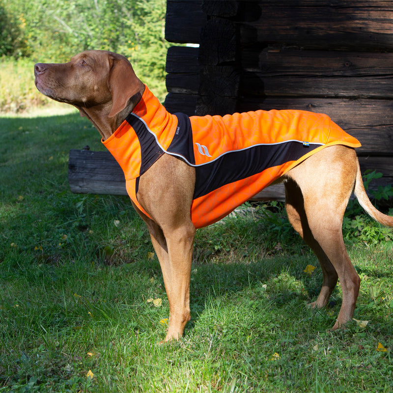 "Eddie" koiran paita, oranssi - Back on Track Finland
