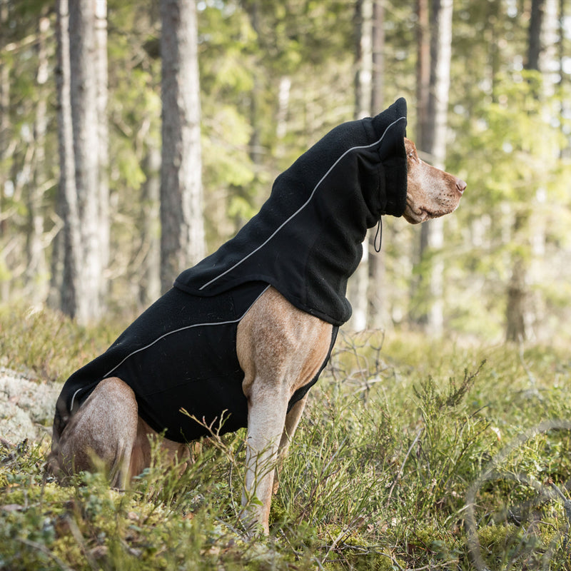 "Benji" koiran kauluri - Back on Track Finland