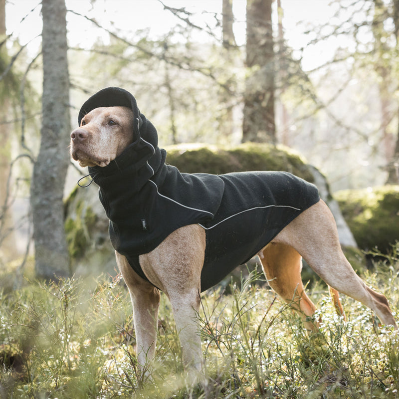 "Benji" koiran kauluri - Back on Track Finland