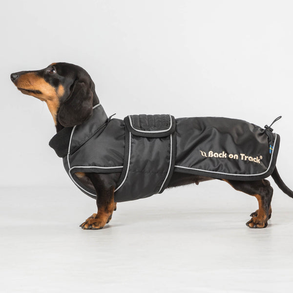 "Buddy" pitkäselkäisen koiran takki, musta - Back on Track Finland