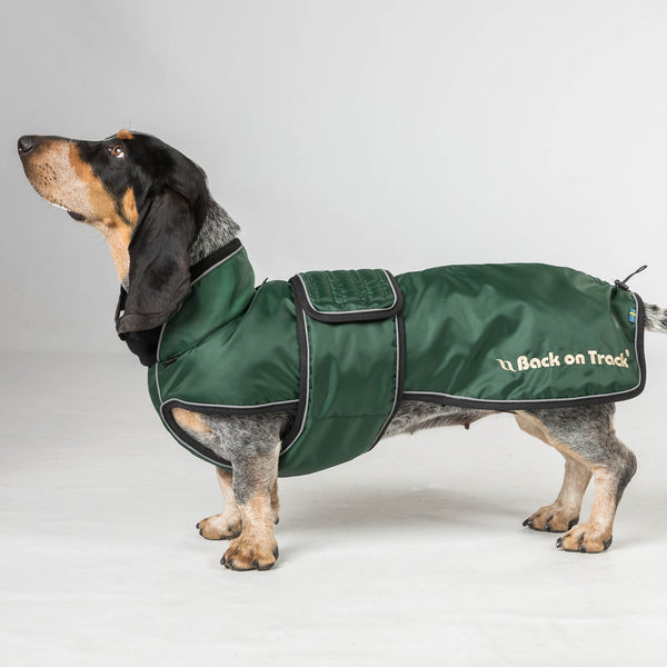 "Buddy" pitkäselkäisen koiran takki, vihreä - Back on Track Finland