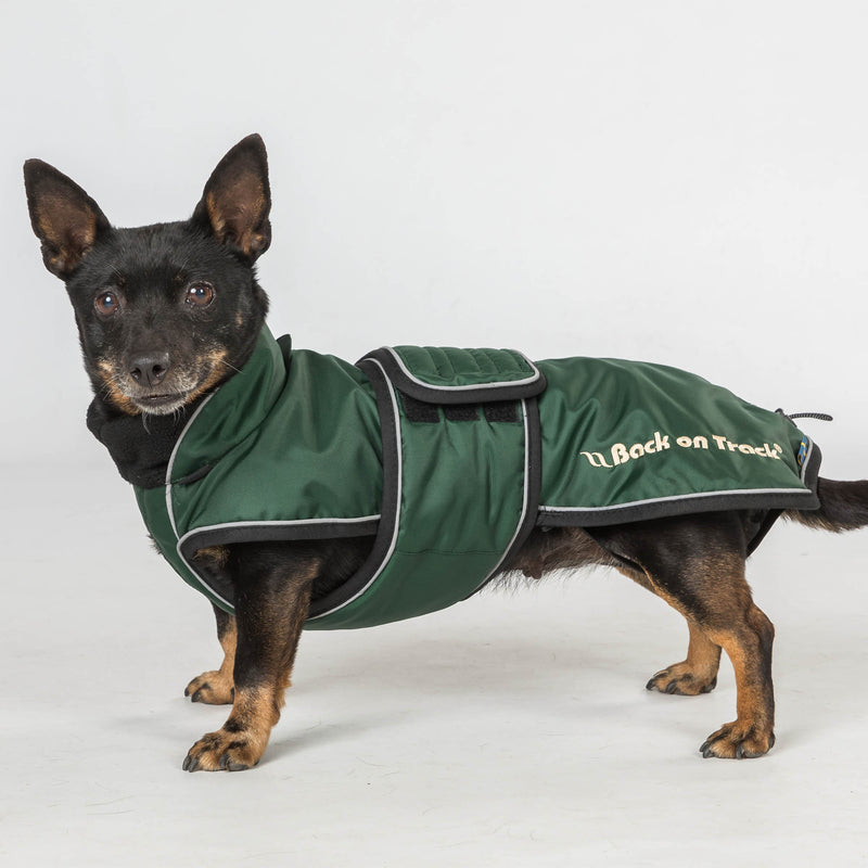"Buddy" pitkäselkäisen koiran takki, vihreä - Back on Track Finland
